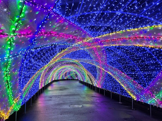 よみうりランド ジュエルミネーション／画像提供：よみうりランド