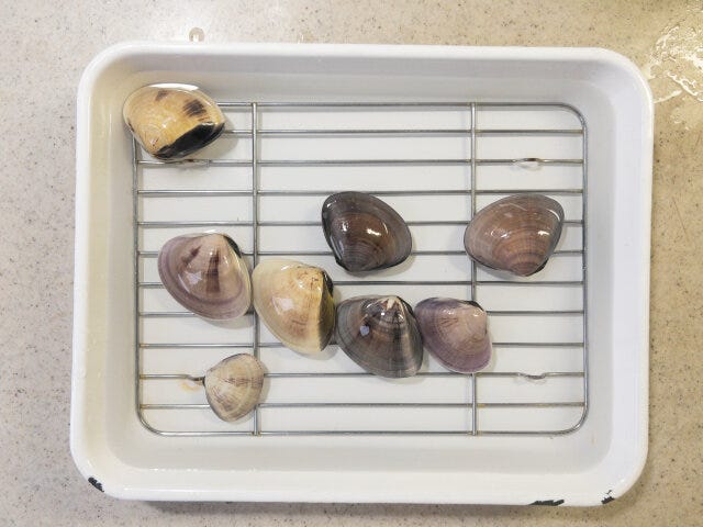 はまぐりの砂抜きをします。