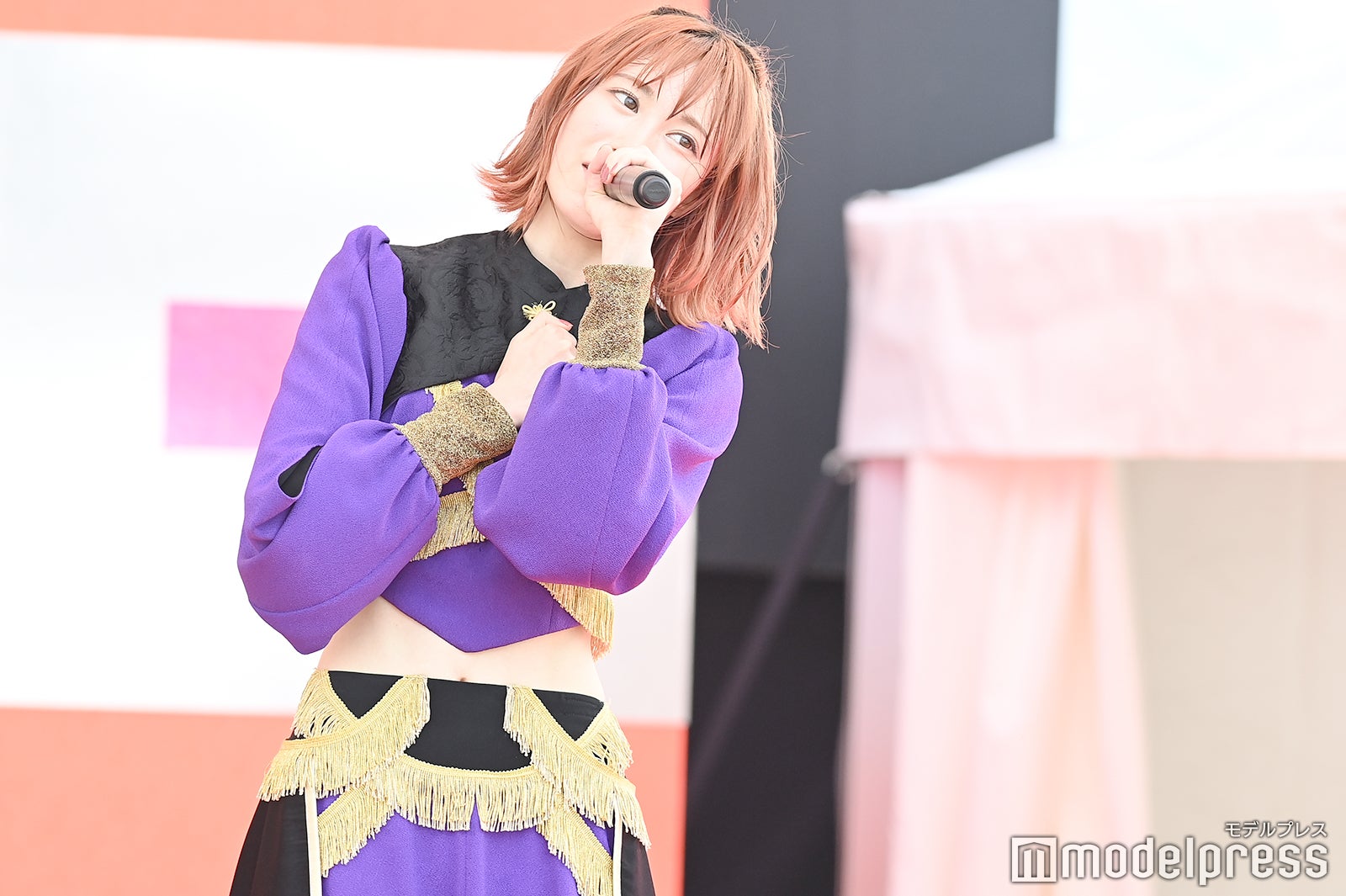 豆柴の大群（C）モデルプレス