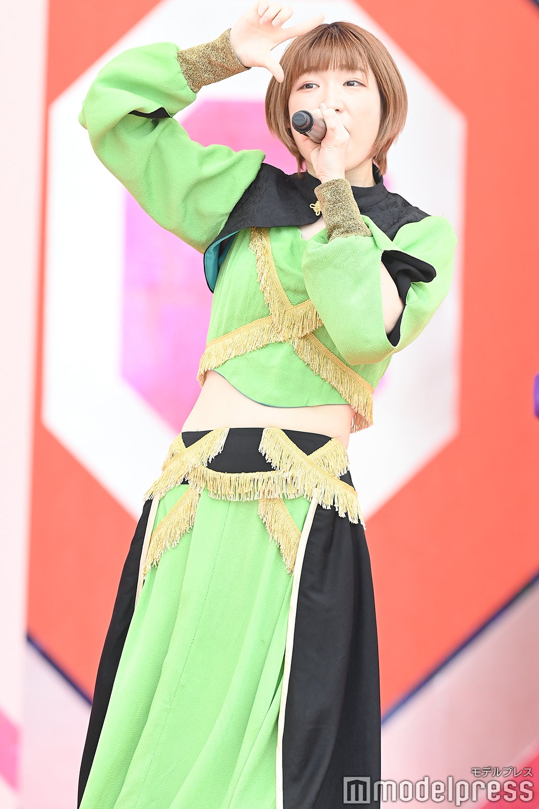 豆柴の大群（C）モデルプレス