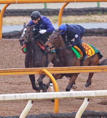 【桜花賞】ドリームコア 重馬場関係なし！脚取りキビキビ 充実ぶりに萩原師「追い切りは予定通り。順調」