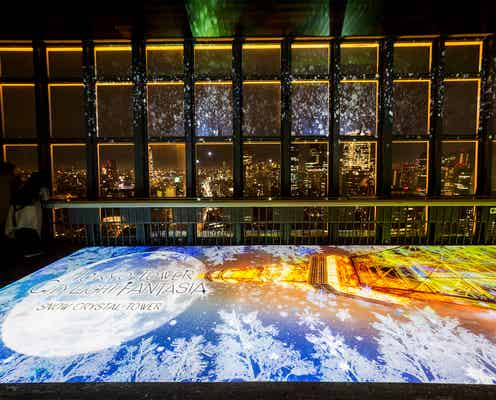 雪と氷の魔法が彩る東京タワー、ファンタジックで幻想的な冬景色にうっとり