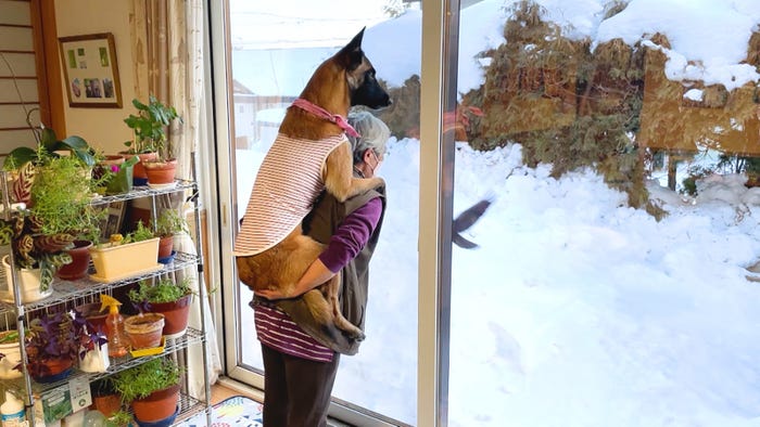 「笑える!泣ける!動物スクープ100連発」(C)TBS