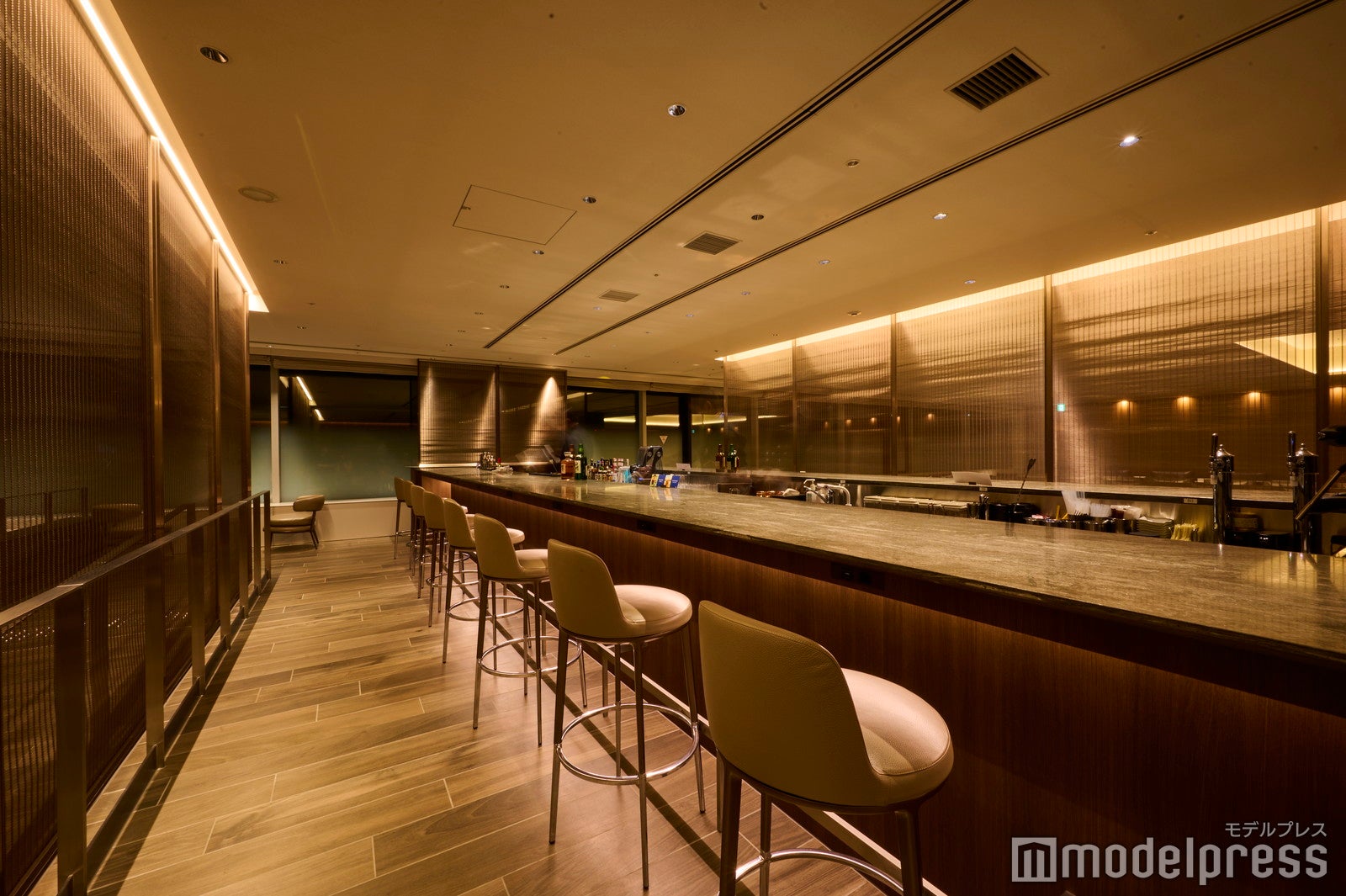 ANA SUITE LOUNGE（C）モデルプレス