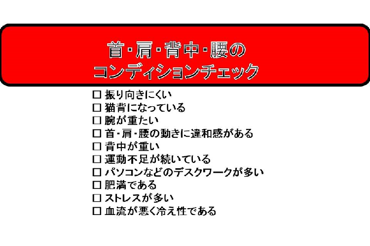 首・肩・背中・腰のコンディションチェック