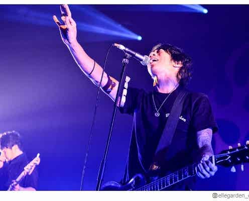 ELLEGARDEN細美武士、結婚を報告<コメント全文>