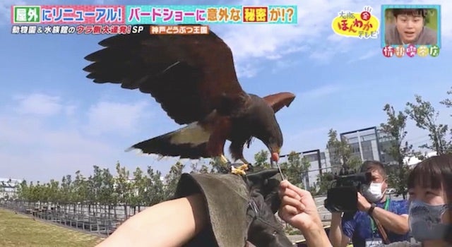 カワイイ姿がSNSで話題に…！人気の動物園・水族館のウラ側