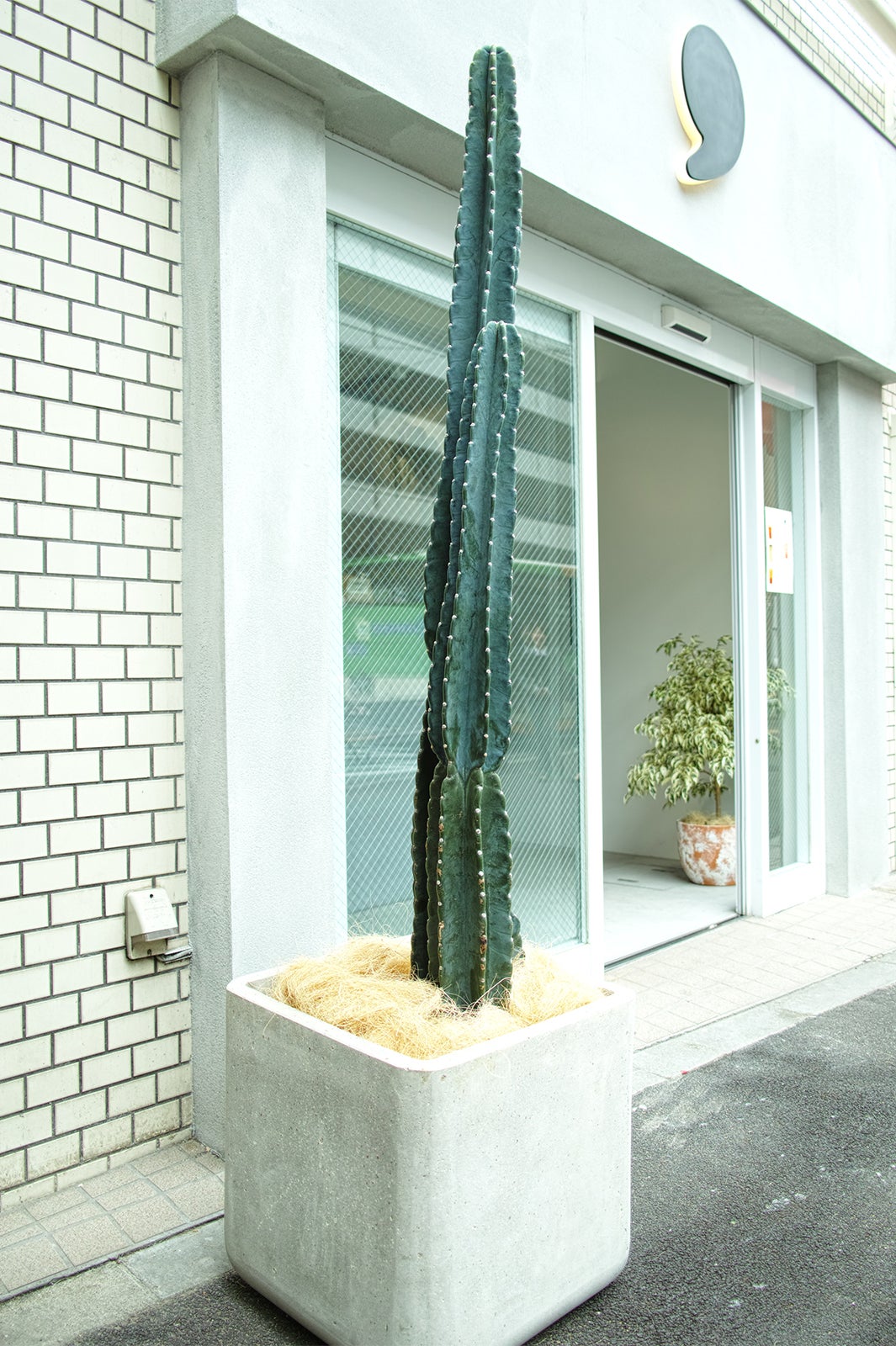 コンマティー（提供画像）