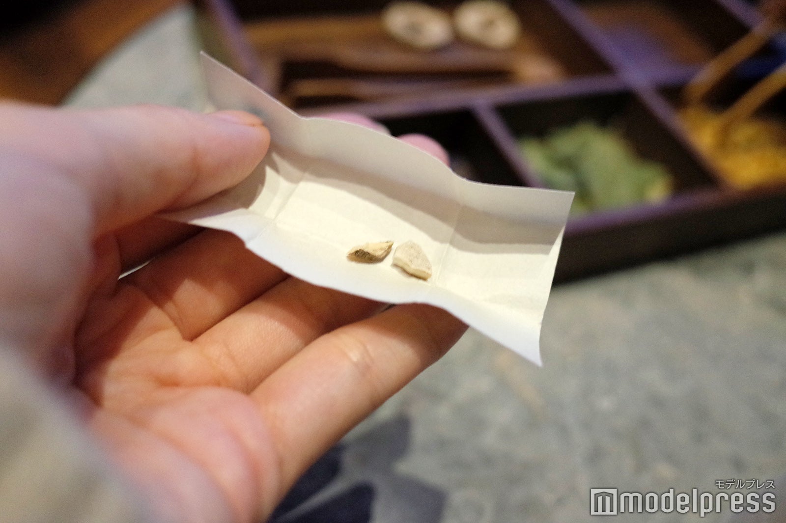 界 ポロト（C）モデルプレス