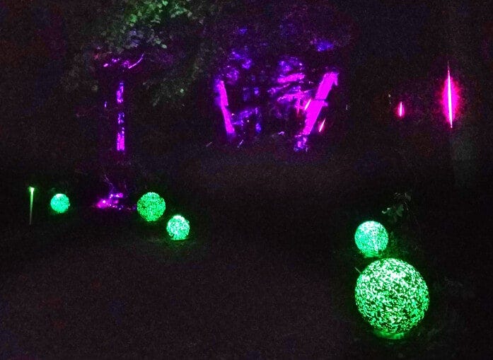 光の森を彩るマリモ