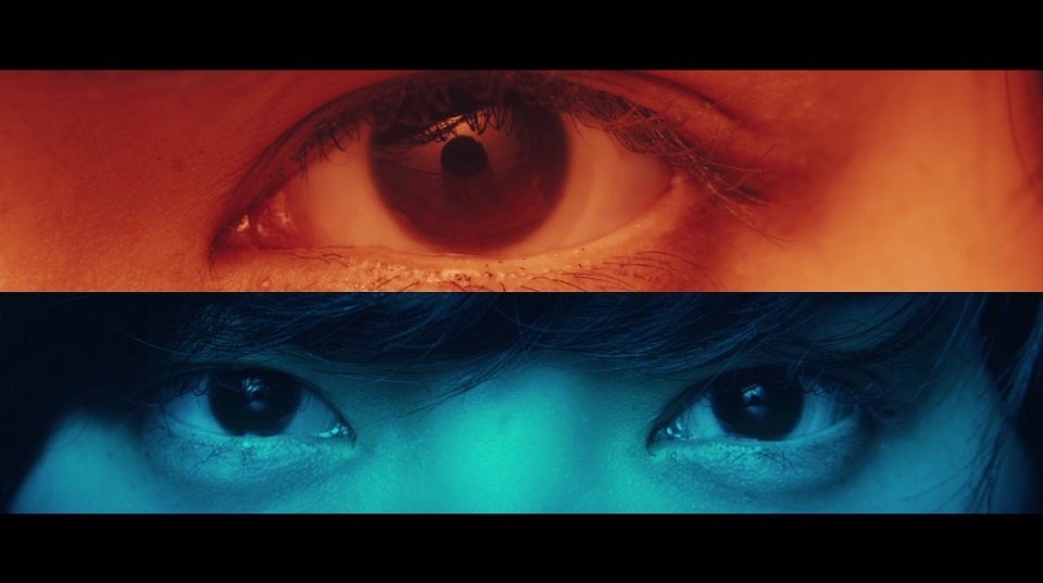 欅坂46「もう森へ帰ろうか？」MVより （提供画像）