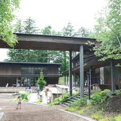 星野リゾート トマム(C)モデルプレス