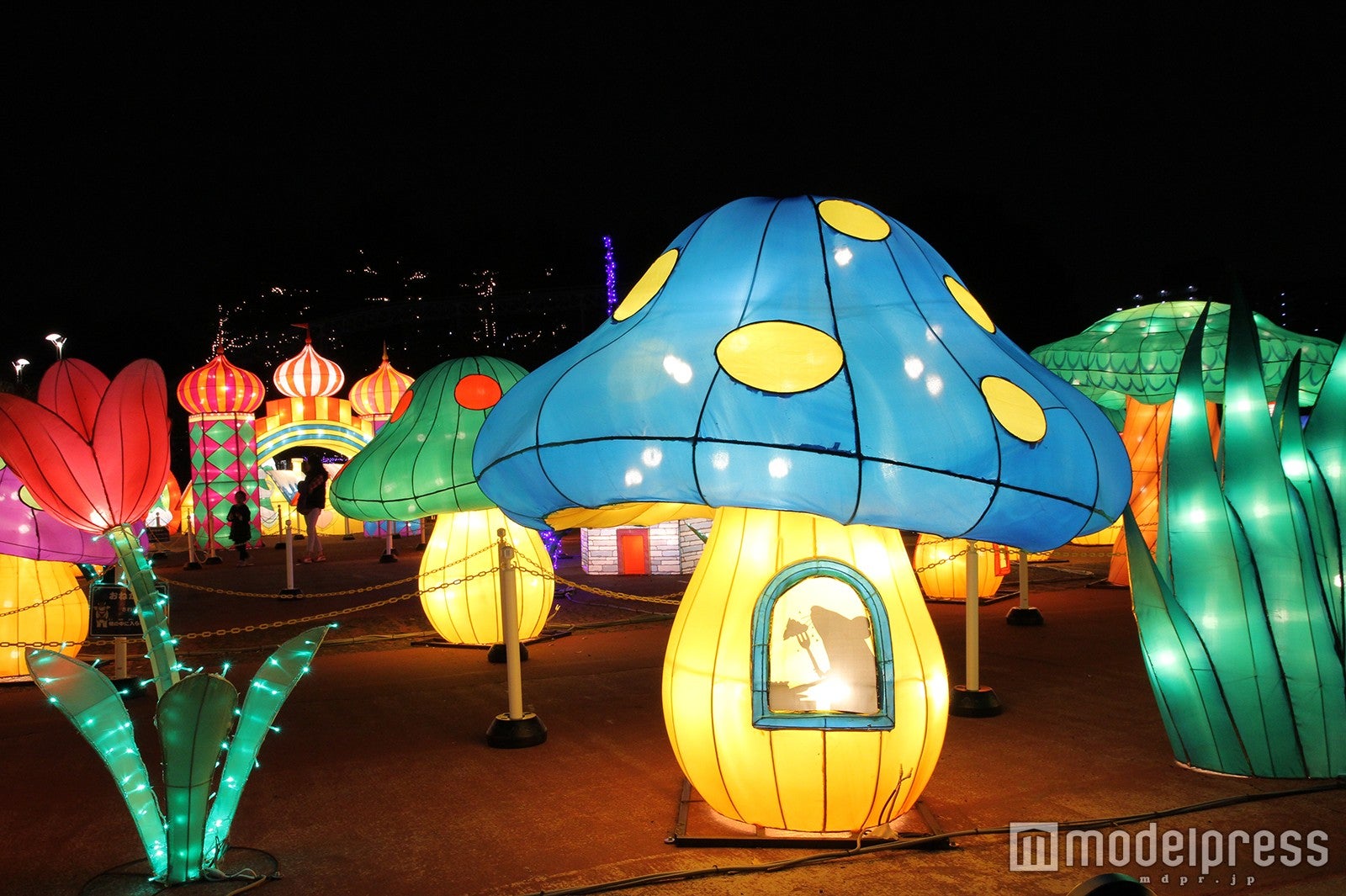 昨年の様子／画像提供：としまえん