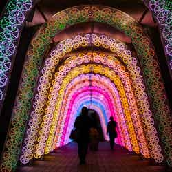 ミルキーウェイ