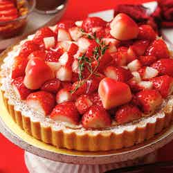 ストロベリー&チョコレートホリック スイーツブッフェ/提供素材