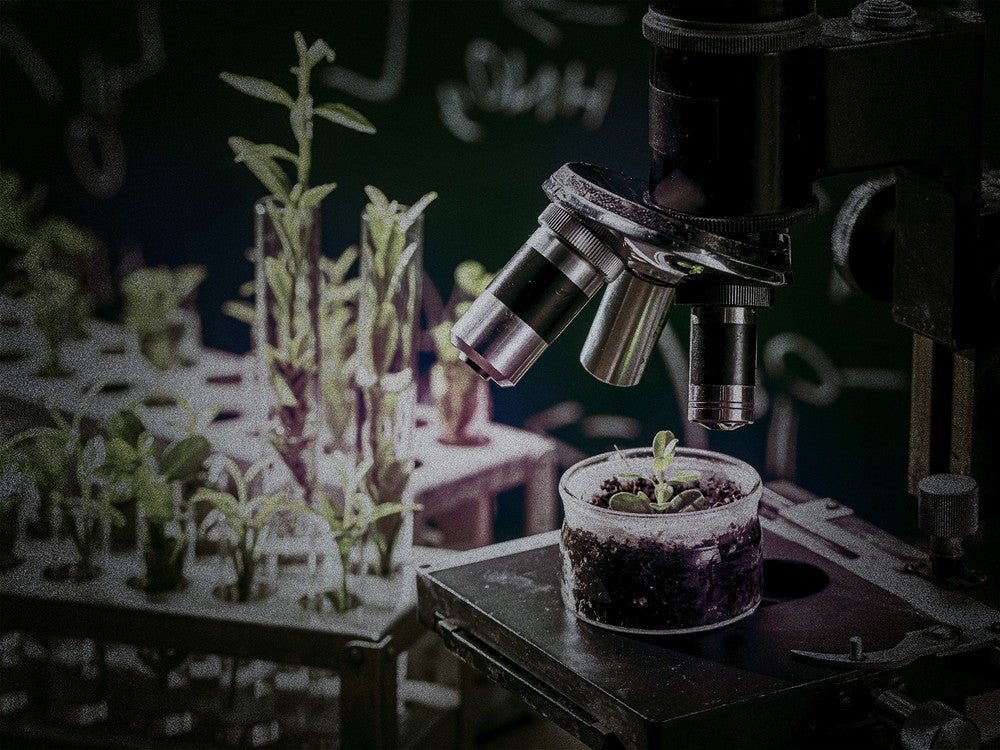 キメラ～侵食の研究室（シーケンス）～（イメージ）／提供画像