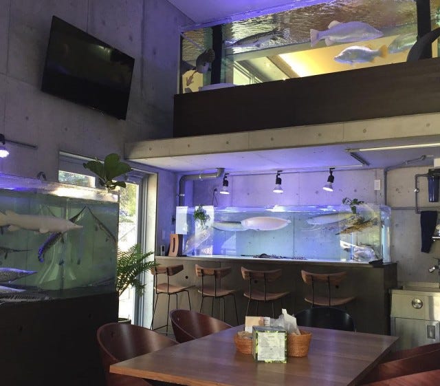 地元民だから知っている「奈良のイチオシグルメ＆専門店」3選