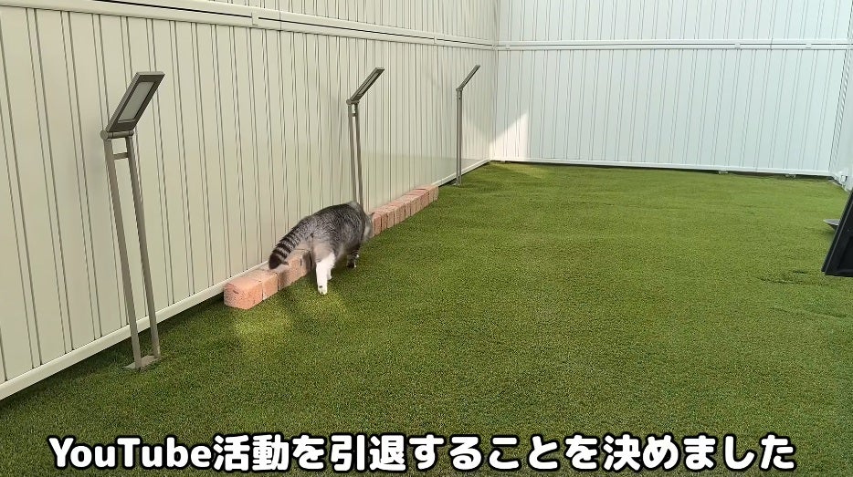 もちまる日記、YouTube活動に区切りをつけると発表