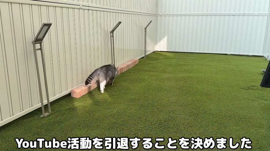 もちまる日記、YouTube活動に区切りをつけると発表