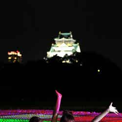 「大阪城ウォーターパーク」幻想的なナイトプールが加わりパワーアップ/画像提供:ハウステンボス