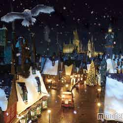 「The Wizarding World of Harry Potter」クリスマスの魔法界／TM＆（C) Warner Bros．Entertainment Inc． Harry Potter Publishing Rights（C）JKR．（s16）
