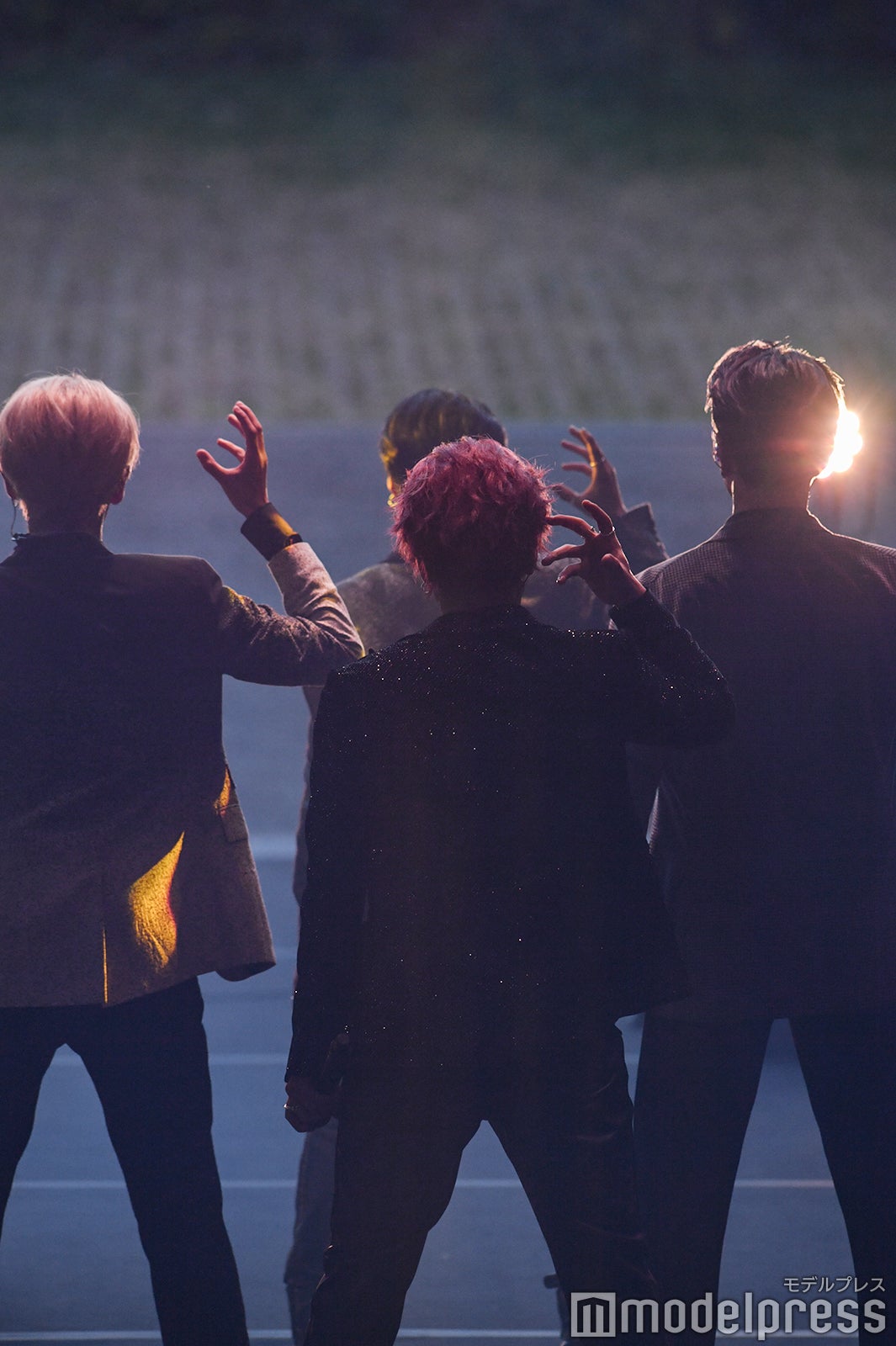 OWV（C）モデルプレス