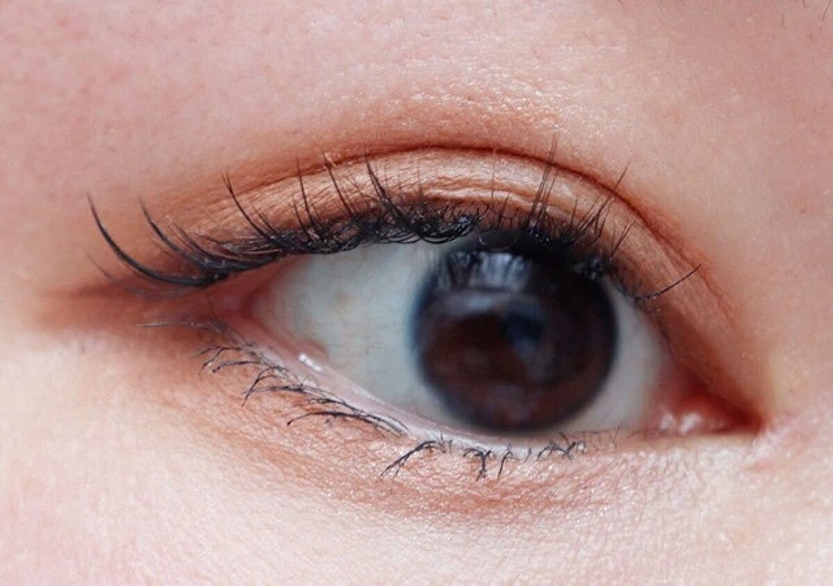 ダイソー 部分用アイラッシュ ダイソー 部分用アイラッシュ