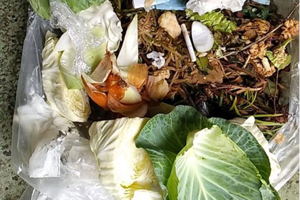 PAに不法投棄されたゴミ