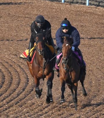 【ターコイズS】ウンブライル 初タイトルへ好感触 気性面が徐々に改善 陣営「最近の精神状態でなら」