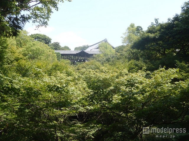 「東福寺」／photo by No Boring Stories