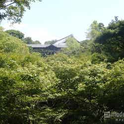 「東福寺」/photo by No Boring Stories