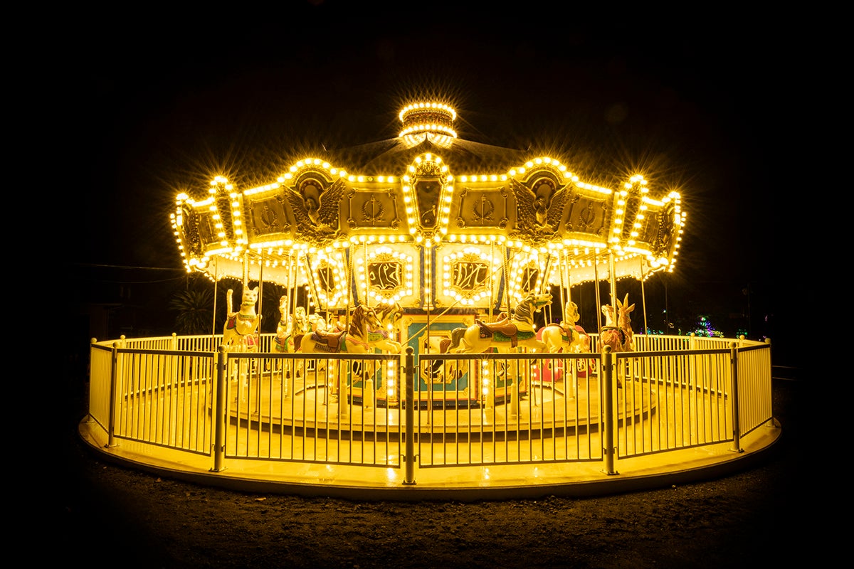 伊豆高原グランイルミ／画像提供：伊豆シャボテン公園