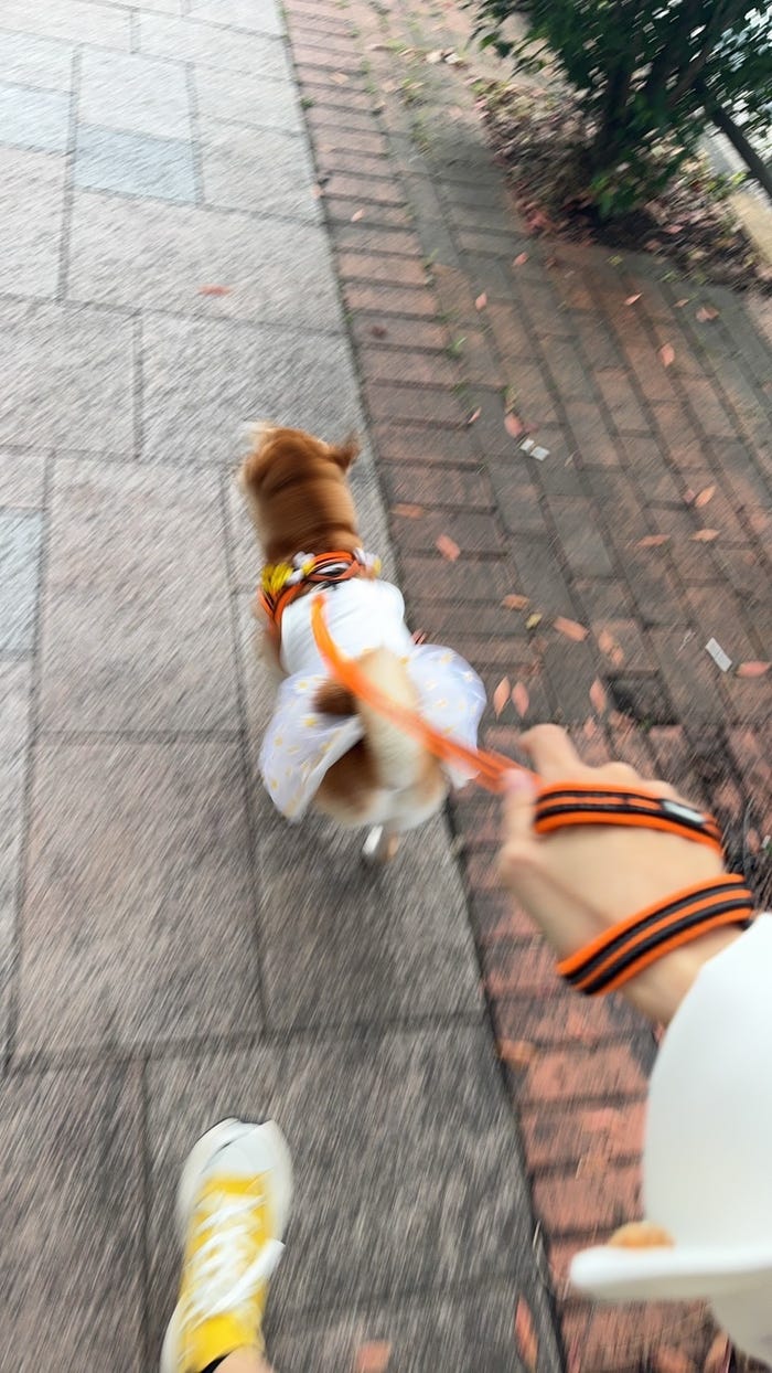 (提供素材)
