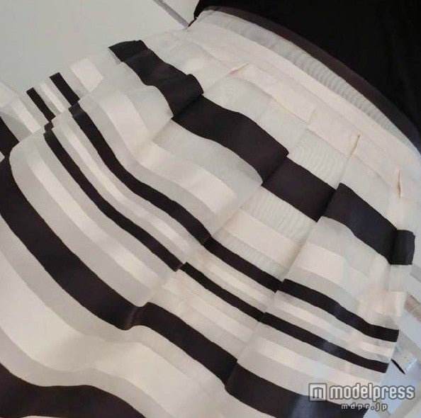 ボーダー柄オーガンジーチュチュスカート「Honey Bee」3,780円（税込）