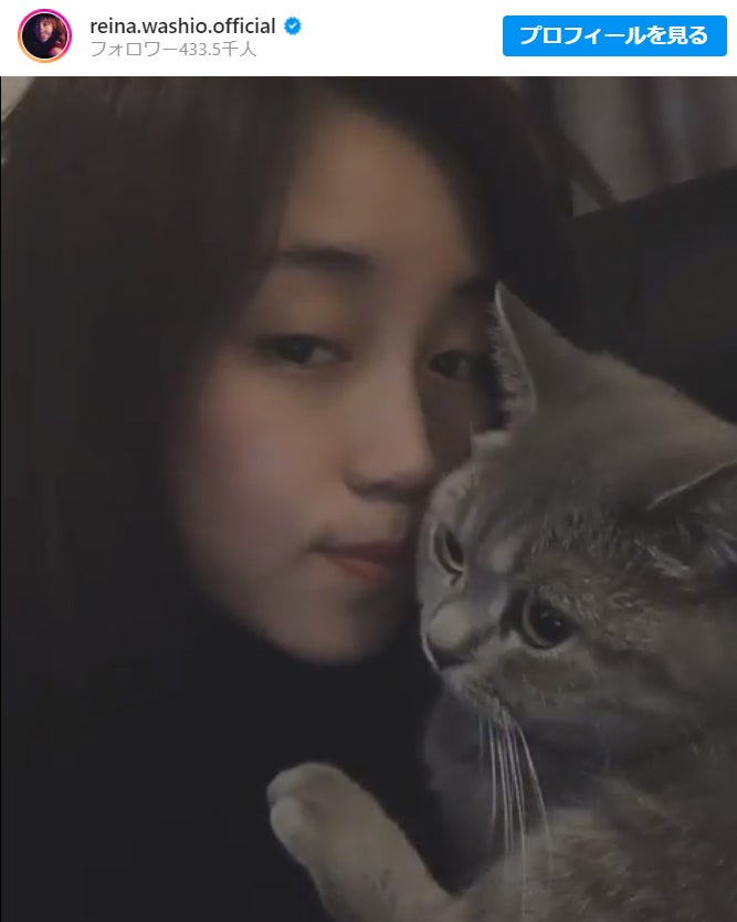 E Girls鷲尾伶菜 愛猫とのラブラブ動画に反響 モデルプレス