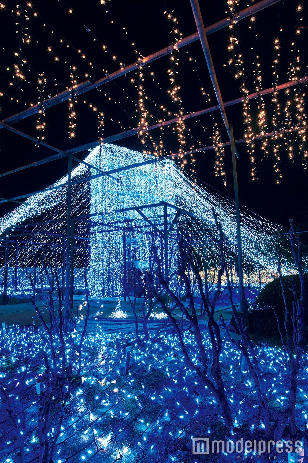 ブルーダイヤジュエリ／画像提供：日本庭園 由志園