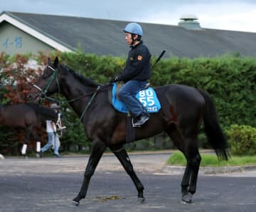 【京都金杯】ランスオブカオス“最強世代”の強さマイルでも証明だ 奥村豊師「上積みがある感触」思惑通りに上昇