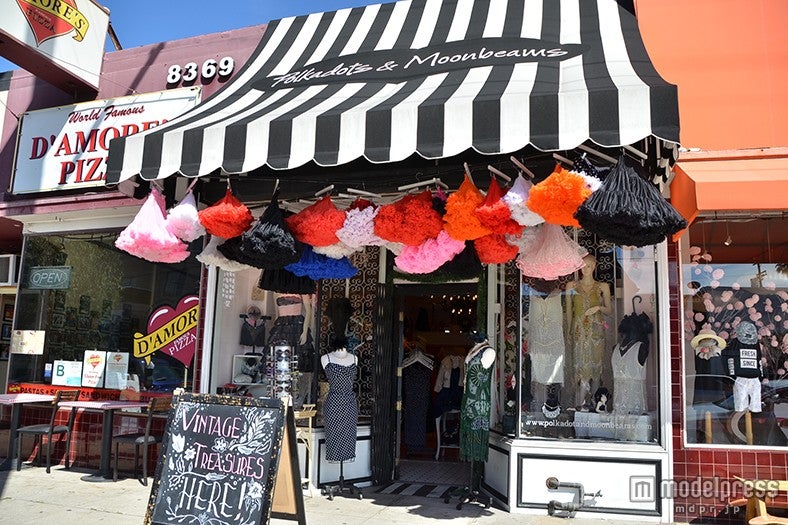 「Polkadots＆Moonbeams」外観