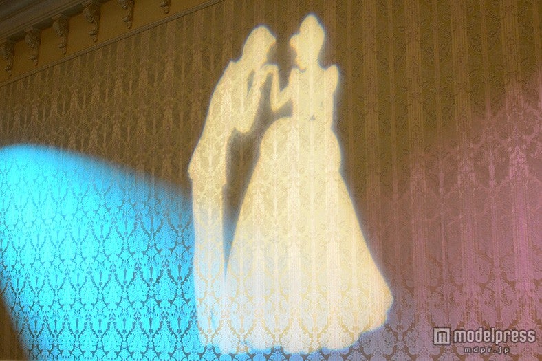 壁に映しだされたシンデレラのシルエット