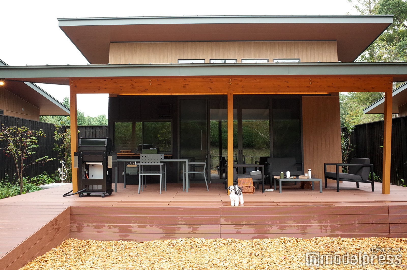 愛犬とのご褒美旅に！千葉の温泉付きヴィラ「Dear Wan Spa Garden」で特別な宿泊体験