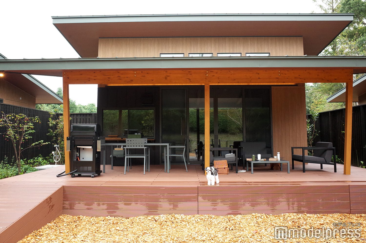 愛犬とのご褒美旅に!千葉の温泉付きヴィラ「Dear Wan Spa Garden」で特別な宿泊体験