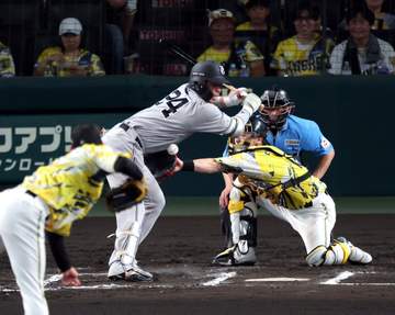 巨人 大城が1試合2死球 甲子園騒然 左翼席の巨人ファンからブーイング 三回には阪神・佐藤輝が2年ぶり死球受ける
