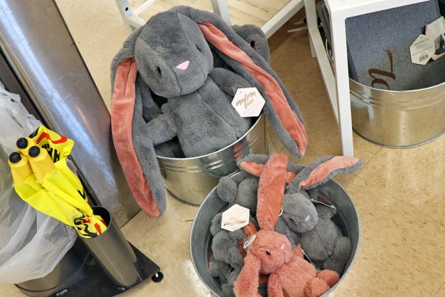 petco_10.jpg
