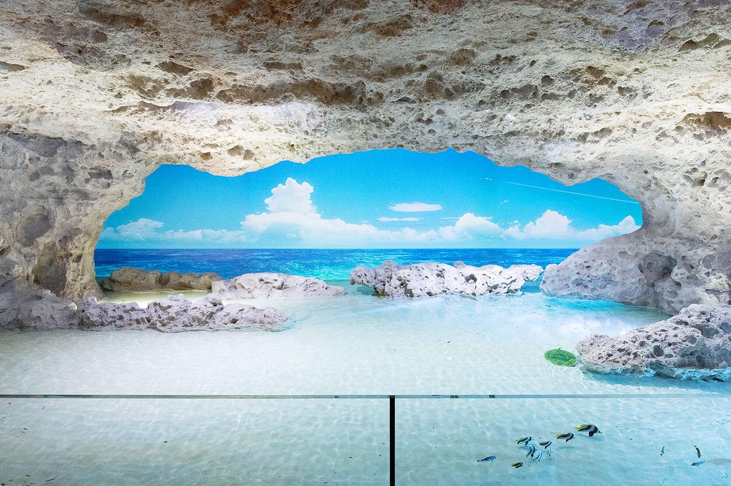 沖縄「DMMかりゆし水族館」動植物約190種展示する全く新しいリゾート空間が誕生