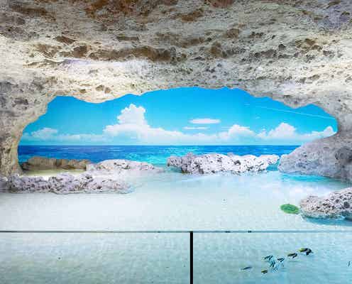 沖縄「DMMかりゆし水族館」動植物約190種展示する全く新しいリゾート空間が誕生