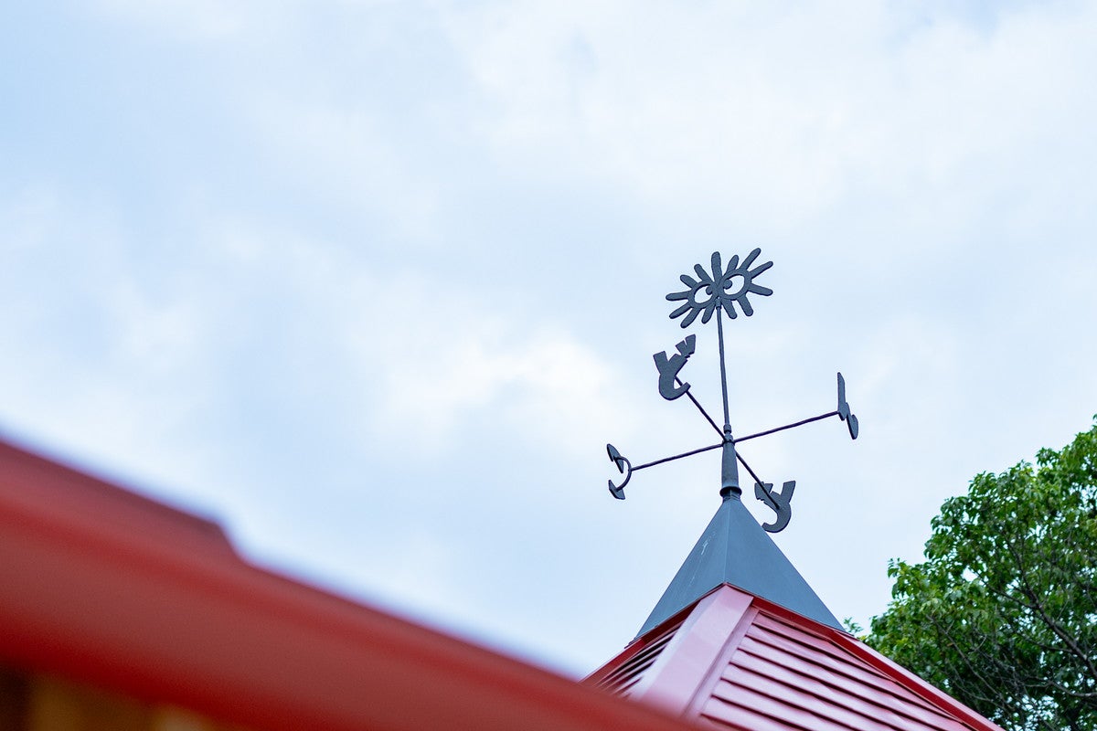 どんどこ森（C）Studio Ghibli