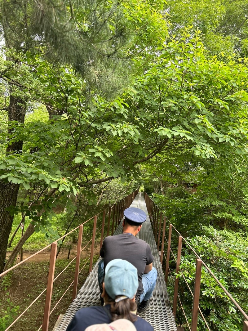 平野ノラ オフィシャルブログより