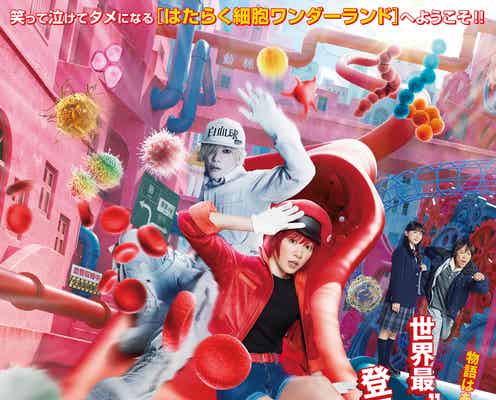 佐藤健&永野芽郁W主演・映画「はたらく細胞」“未解禁キャスト13人のヒント入り”ポスター解禁