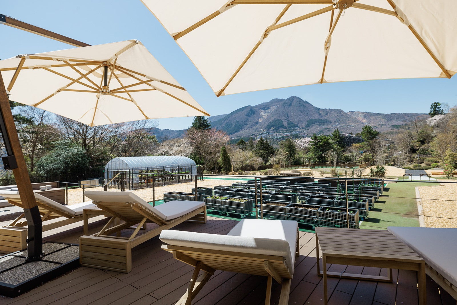 nol hakone myojindai／提供画像