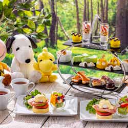 アフタヌーンティー「Snoopy’s Summer Camp」/提供画像